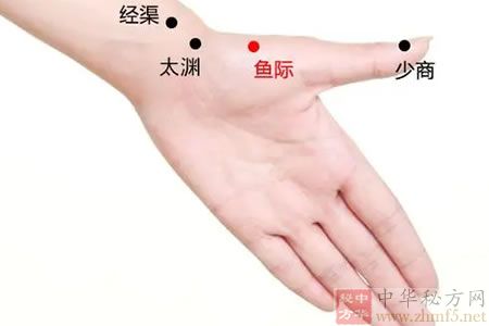 鱼际穴位位置图