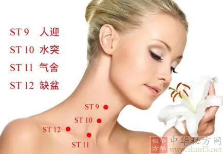 缺盆穴位位置图