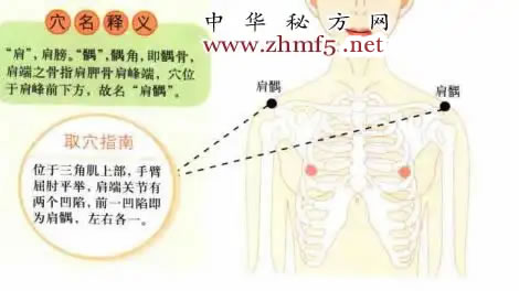肩髃穴的穴位释义