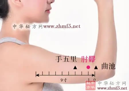 肘髎穴位位置图