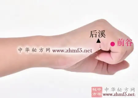 前谷穴位位置图