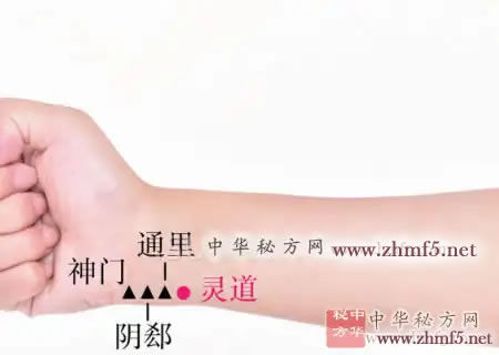 灵道穴的准确位置图