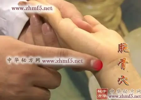 腕骨穴的位置图