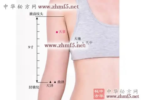 天泉穴位位置图