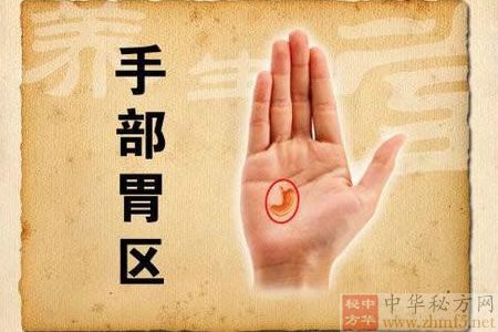 手部胃反射区
