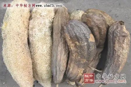 老丝瓜别扔掉，可治手脚麻木！