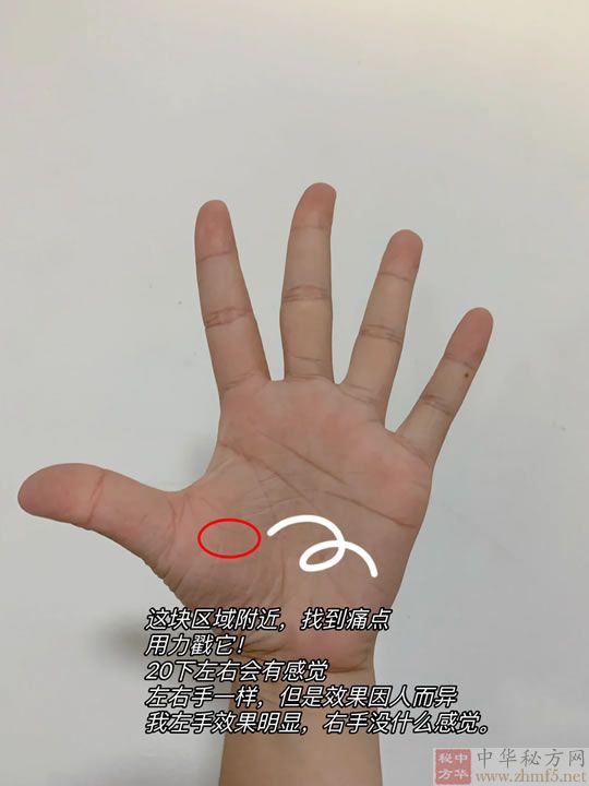 急性肠胃炎按摩穴位