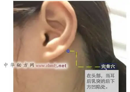 完骨穴的准确位置图