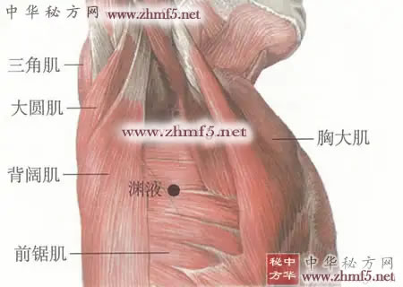 渊腋穴位的位置