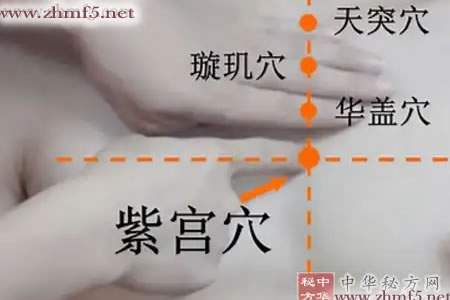 紫宫穴位的位置