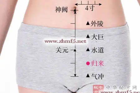 归来穴位位置图