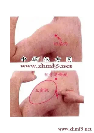 肩髎穴