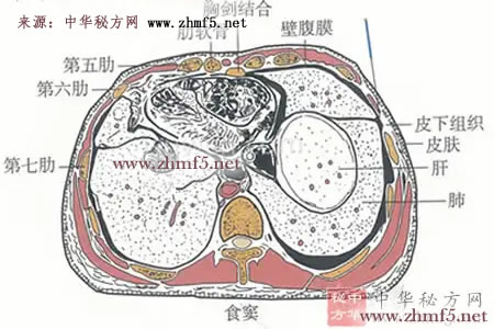 针灸食窦穴的准确位置图