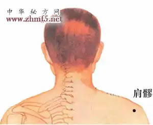 肩髎穴位位置图