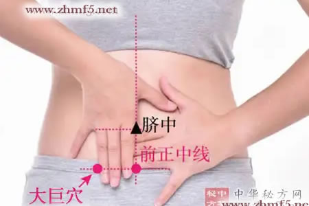 大巨穴位的位置