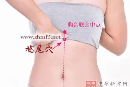 鸠尾穴位位置图