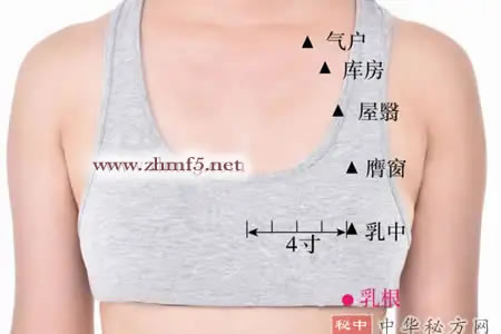 乳根穴位位置图