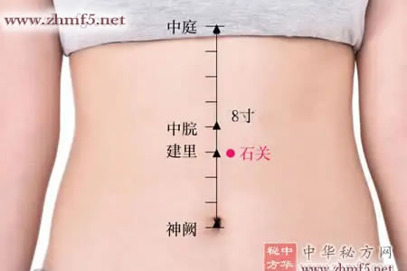 石关穴位位置图