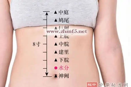 水分穴位图
