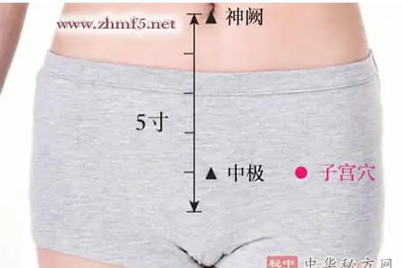 子宫穴位的位置