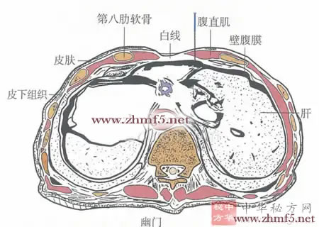 幽门穴针刺方法