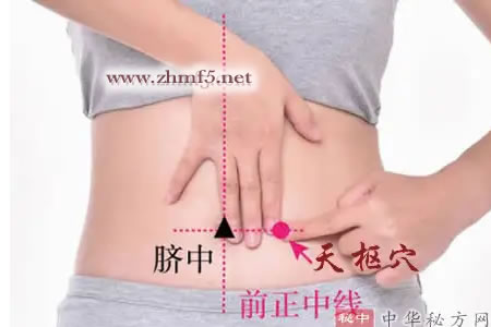 天枢穴位位置图